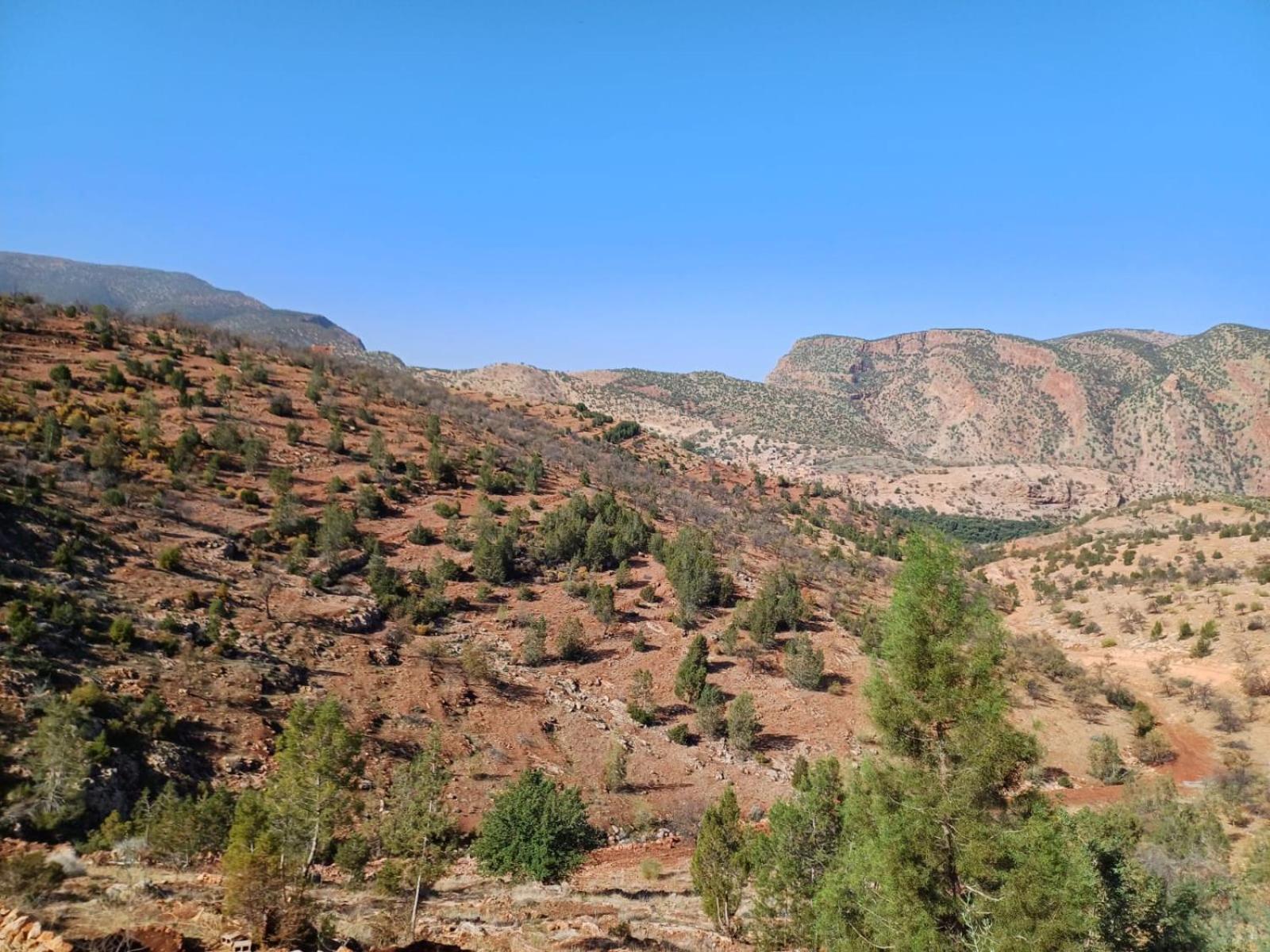 Riad Heermans Ouzoud Bagian luar foto